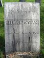 Hiram-Swan.jpg