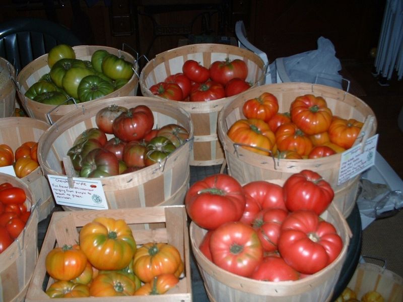 File:Heritage Tomatoes.jpg