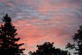Fall sunrise-Barb Husek.jpg
